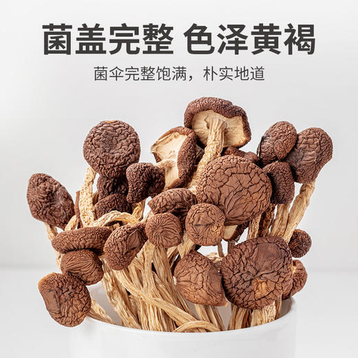 方家铺子 茶树菇220g/袋装 商品图3