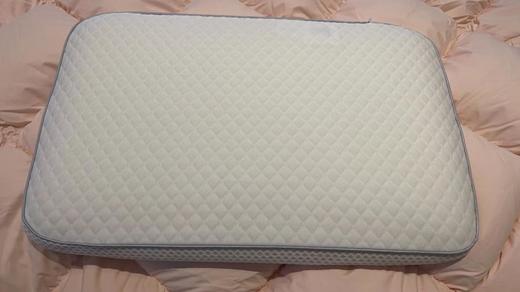 南5楼堂皇PU殴大面包低枕 商品图0