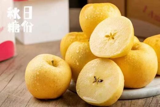 周六取货：【秋日糖份维纳斯苹果】一袋毛重2.8斤左右，甘甜芳香，细腻脆爽，脆、甜、香！ 商品图4