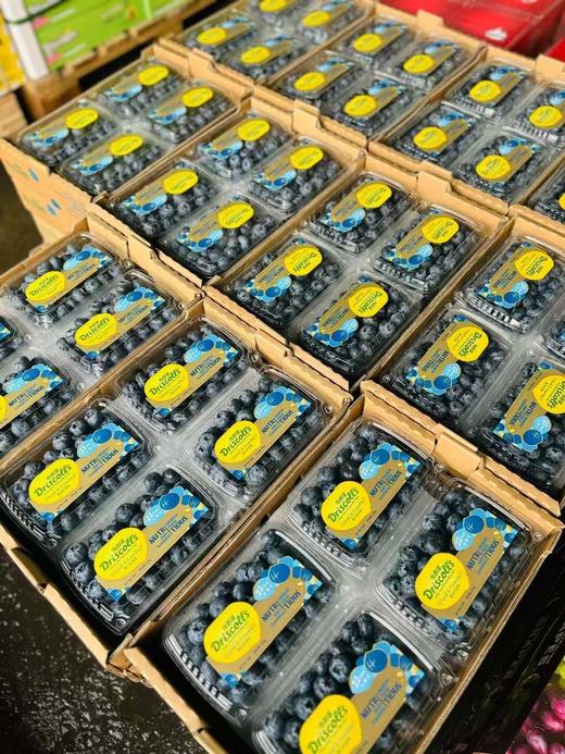 超大！更脆！Driscolls'小钻石蓝莓，22cm+，ji品！尊贵彰显气质款，每一颗都带着淡淡兰花清香！ 商品图8