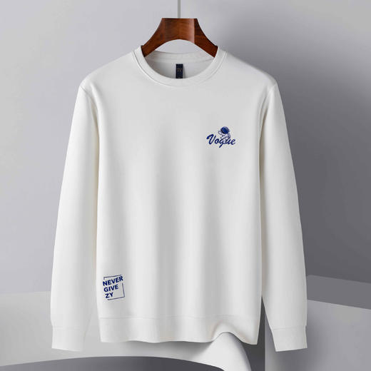 14LP37265【桑蚕丝混纺】罗蒙春秋男装卫衣胸花绣花卫衣男士休闲百搭男青年圆领长袖T恤上衣男 商品图4