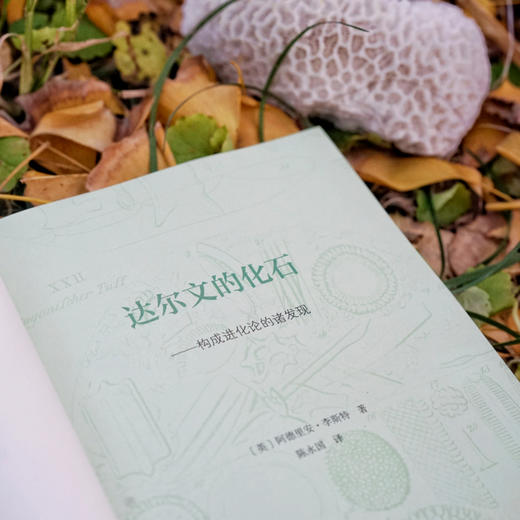 达尔文的化石——构成进化论的诸发现 商品图3