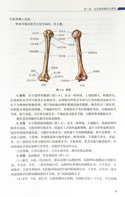 护理医学基础 医药高等职业教育新形态教材 供高等职业院校护理 助产专业用 随书附赠电子资源 中国医药科技出版社9787521443363  商品图4