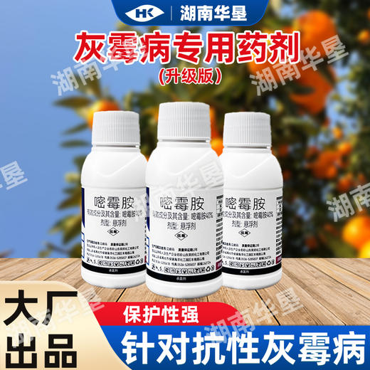 40%嘧霉胺名灰灰霉病专杀蒜薹韭菜黄瓜杀菌剂农药灰霉病专用药剂 商品图0