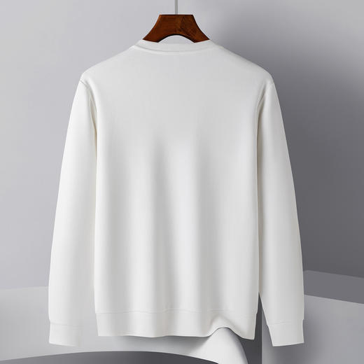 【桑蚕丝混纺】罗蒙春秋经典圆领纯色卫衣男士舒适休闲百搭卫衣长袖T恤上衣男 商品图7