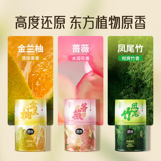 air funk  空气清新剂  空间除味香氛300ml 商品图3
