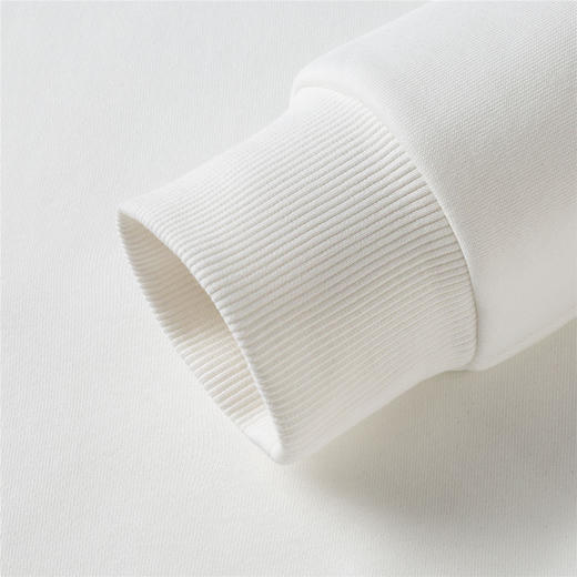 14LP37265【桑蚕丝混纺】罗蒙春秋男装卫衣胸花绣花卫衣男士休闲百搭男青年圆领长袖T恤上衣男 商品图6