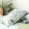 多喜爱 全棉新疆棉清新花卉四件套 绿嘢/柠熙/春日狂想曲hlcs 商品缩略图2