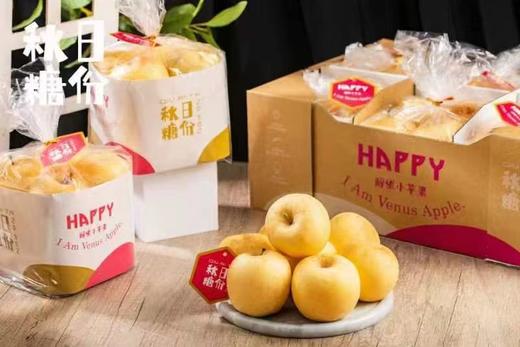 周六取货：【秋日糖份维纳斯苹果】一袋毛重2.8斤左右，甘甜芳香，细腻脆爽，脆、甜、香！ 商品图1