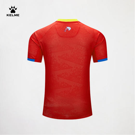 卡尔美2024赛季中甲广西平果哈嘹主场比赛服-单上衣【空版只有队徽，印制可以联系客服】 商品图1