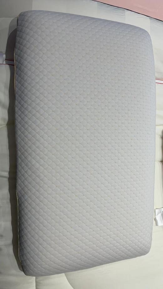 南5楼堂皇维莎乳胶枕 商品图0