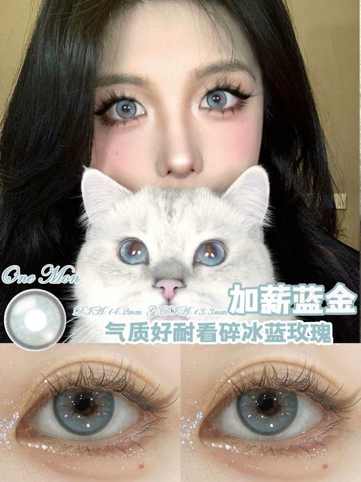 CherryBee 月抛 加薪蓝金 直径14.2mm着色13.3mm 商品图3