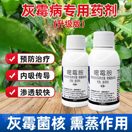 40%嘧霉胺名灰灰霉病专杀蒜薹韭菜黄瓜杀菌剂农药灰霉病专用药剂 商品图4