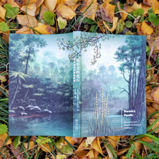 达尔文的化石——构成进化论的诸发现 商品图7