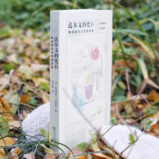 达尔文的化石——构成进化论的诸发现 商品图1