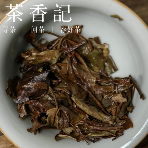 茶香记 政和果甜牡丹018 政和白茶 余步贵出品 醇和甜润 宜喝宜藏 商品图4