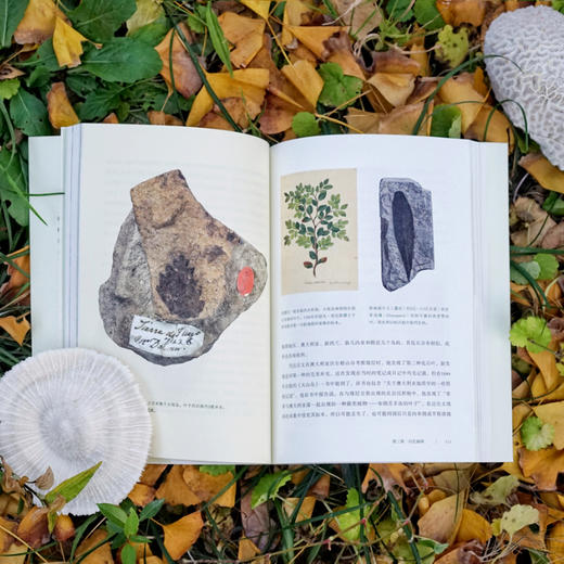 达尔文的化石——构成进化论的诸发现 商品图5