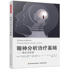 精神分析治疗基础——理论与实践