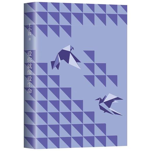 爱你就像爱生命 王小波 写在五线谱上的情书 商品图1