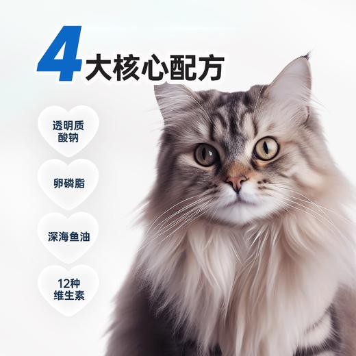 【第二件“半价”】雷米高多维鱼油卵磷脂宠物鱼油复合维生素宠物猫咪狗狗专用100g 商品图1