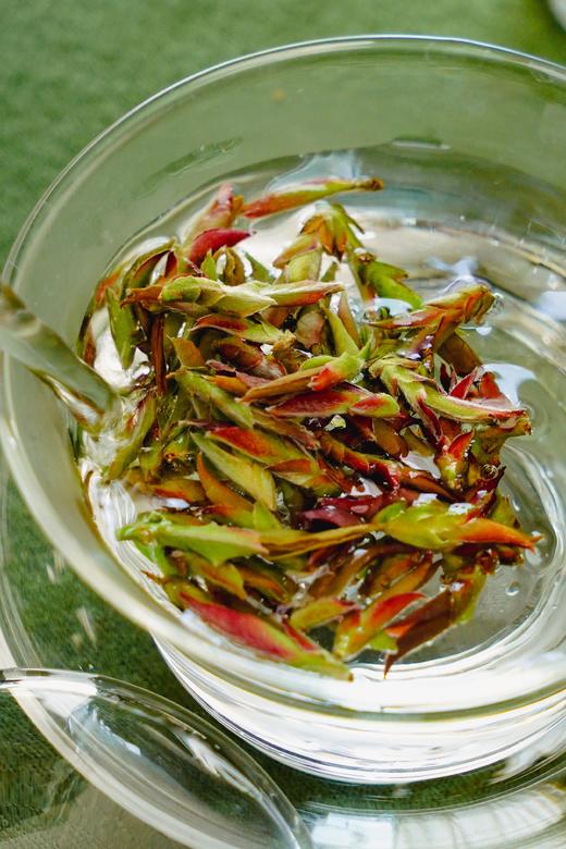 2025【千年野生紫芽苞】 春天的气息，来自荒野古树茶的春天的芽苞！ 商品图5