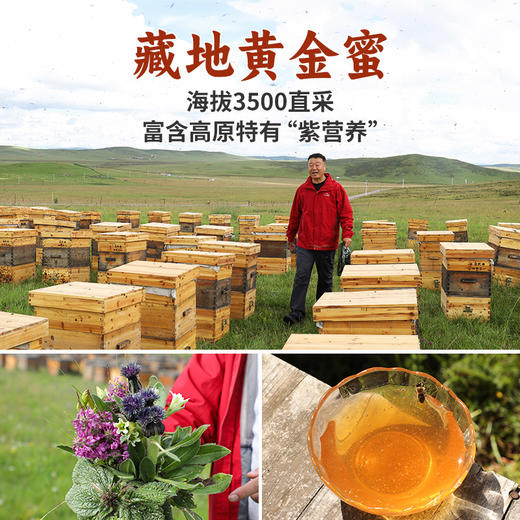 【便携装】藏地蜜源直采自然成熟便携随身装 商品图1