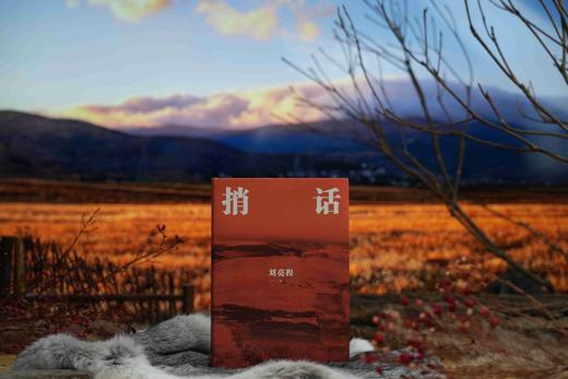 刘亮程作品：捎话 商品图10