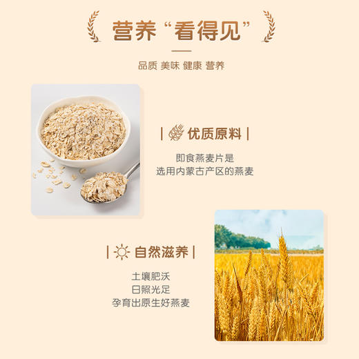 雅士利正味即食燕麦片300g 商品图3