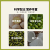 基地直发-白果蛋白粉600g（20g×30袋） 商品缩略图2
