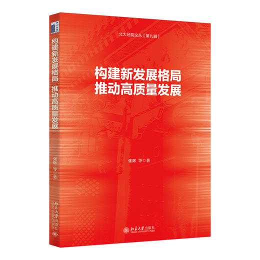 构建新发展格局，推动高质量发展 张辉 等 著 北京大学出版社 商品图0