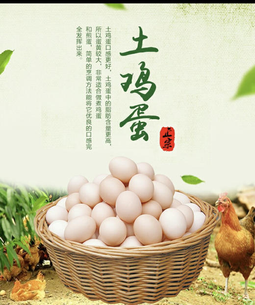 农家散养土鸡蛋绿壳/黄壳混搭一斤15元/5斤礼盒装 商品图13
