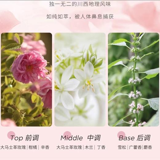 花觅记高山玫瑰向阳香氛沐浴油 商品图4