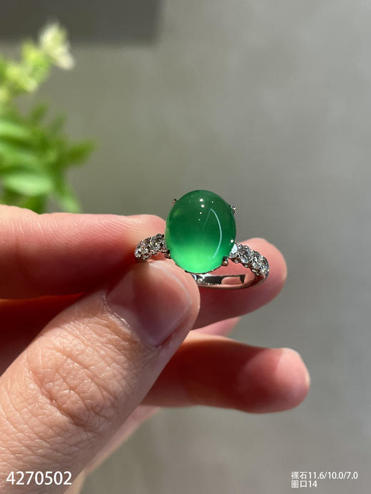玻璃种艳绿蛋面戒指【4270502】具体价格微信咨询 商品图1