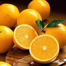 【超好吃！现摘当季新鲜脐橙】伦晚秭归脐橙湖北特产新鲜水果现摘甜橙橙子