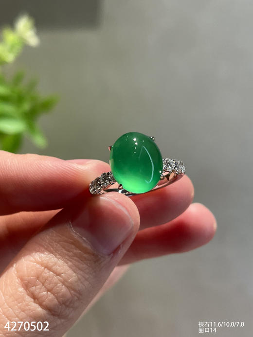 玻璃种艳绿蛋面戒指【4270502】具体价格微信咨询 商品图2