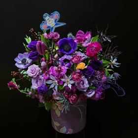 抱抱桶——紫气东来