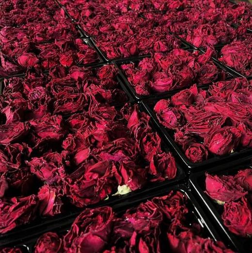 【“花中皇后” 颗颗饱满】云南高山 墨红玫瑰花冠茶 商品图0
