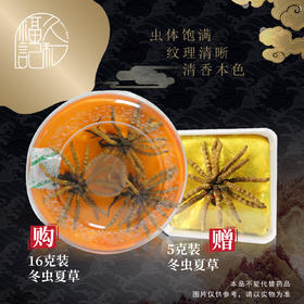 冬虫夏草（买16克装虫草送5克装虫草）