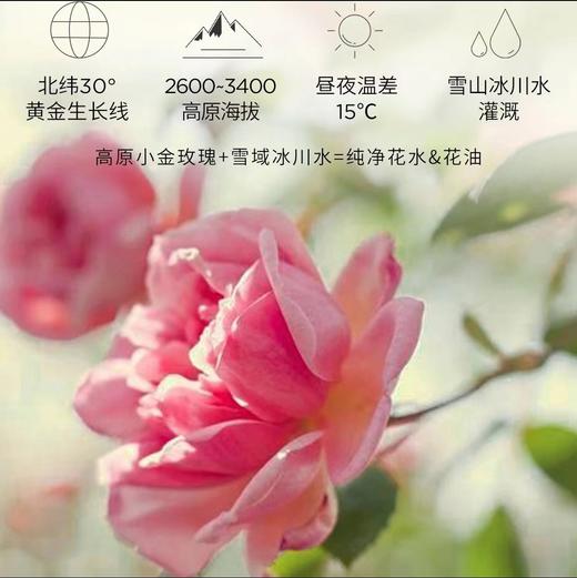 花觅记高山玫瑰向阳香氛沐浴油 商品图5