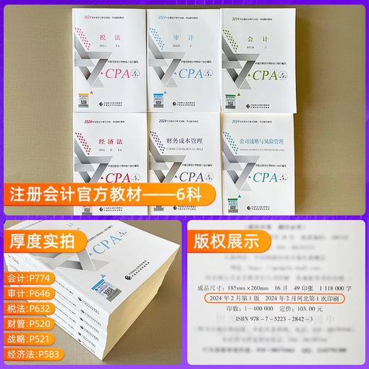 【官方注会2025】注册会计师cpa官方教材2025会计审计税法经济法财务成本管理公司战略与风险管理 商品图1