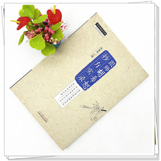 跟师胡希恕抄方实录 陈雁黎 主编 中国中医药出版社 中医师承学堂 临床 医案医话 伤寒论 书籍 商品图1