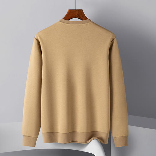 14LP37350【桑蚕丝混纺】罗蒙春秋男装胸花绣花卫衣男士舒适百搭休闲卫衣圆领长袖T恤上衣男 商品图1