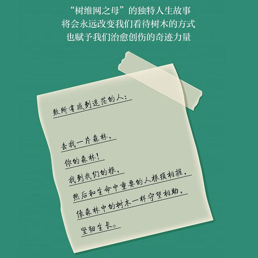 森林之歌 森林的女儿、先锋科学家 苏珊娜·西马德 著  讲述女性励志成长 商品图3
