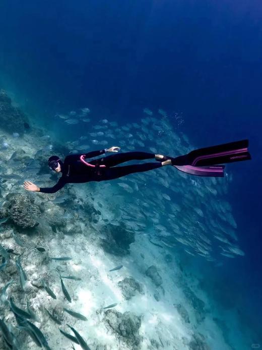 【仙本那自由潜+水下拍摄】AIDA潜水考证|一价全包|1-4星可选|专业拍摄+教练课程 商品图7