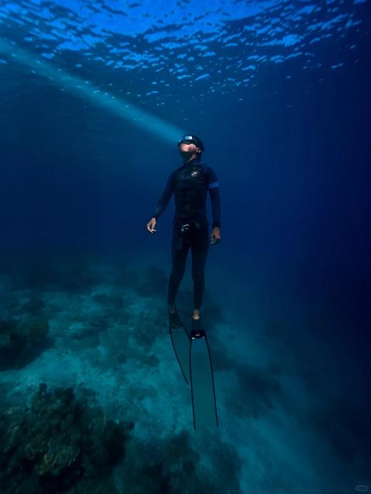 【仙本那自由潜+水下拍摄】AIDA潜水考证|一价全包|1-4星可选|专业拍摄+教练课程 商品图5