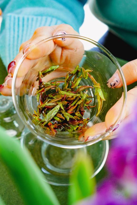 2025【千年野生紫芽苞】 春天的气息，来自荒野古树茶的春天的芽苞！ 商品图4