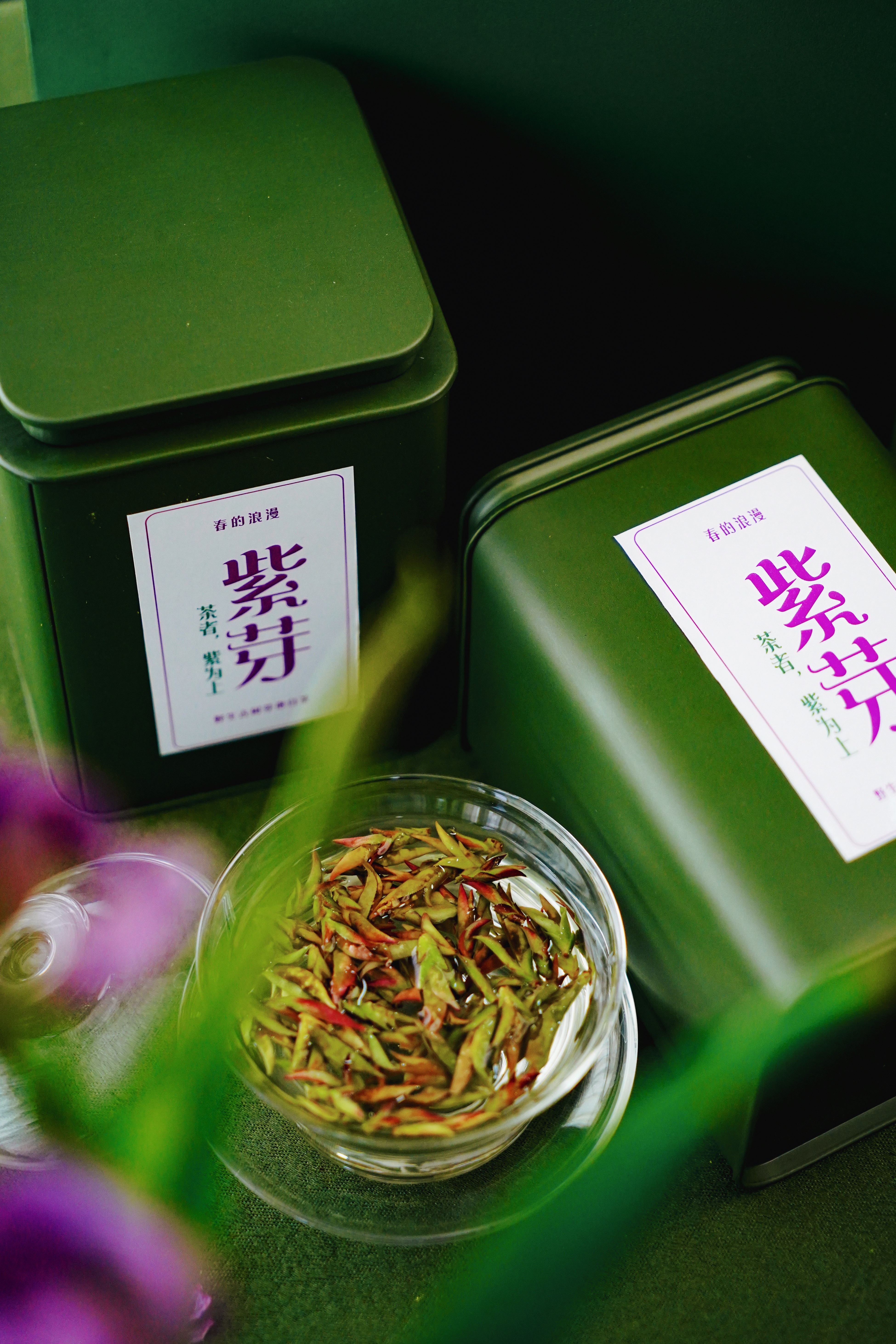 2026【千年野生紫芽苞】 春天的气息，来自荒野古树茶的春天的芽苞！