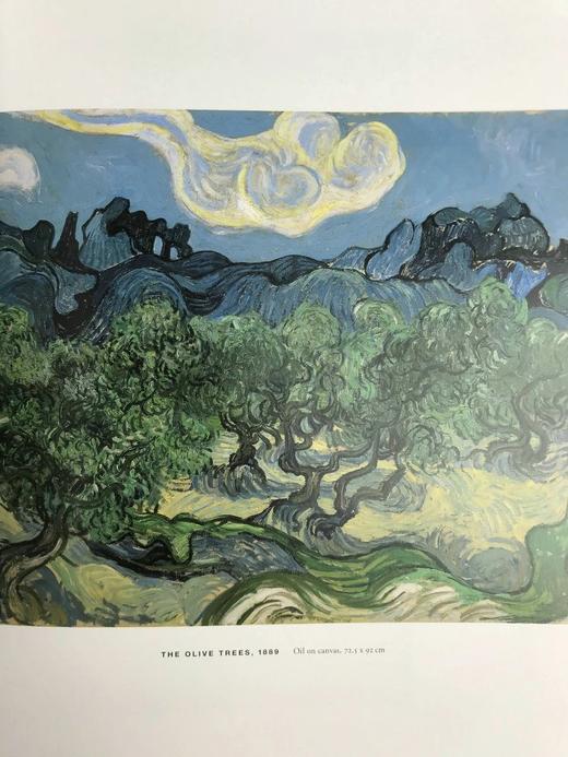 梵高与佩蒂特大道的画家们 约百余幅插图 精装大16开 商品图8