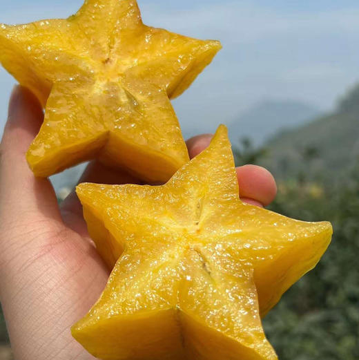 福建树上熟软枝杨桃顺丰京东快递包邮下单从福建发货 商品图1