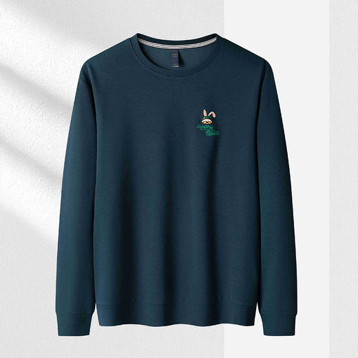 【弹力舒适】罗蒙春秋男装卫衣时尚绣花卫衣男士时尚休闲百搭圆领长袖t恤上衣 商品图2